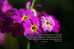 Ephesians 6:10 - Free Nature & Bible Desktop Background / Wallpaper