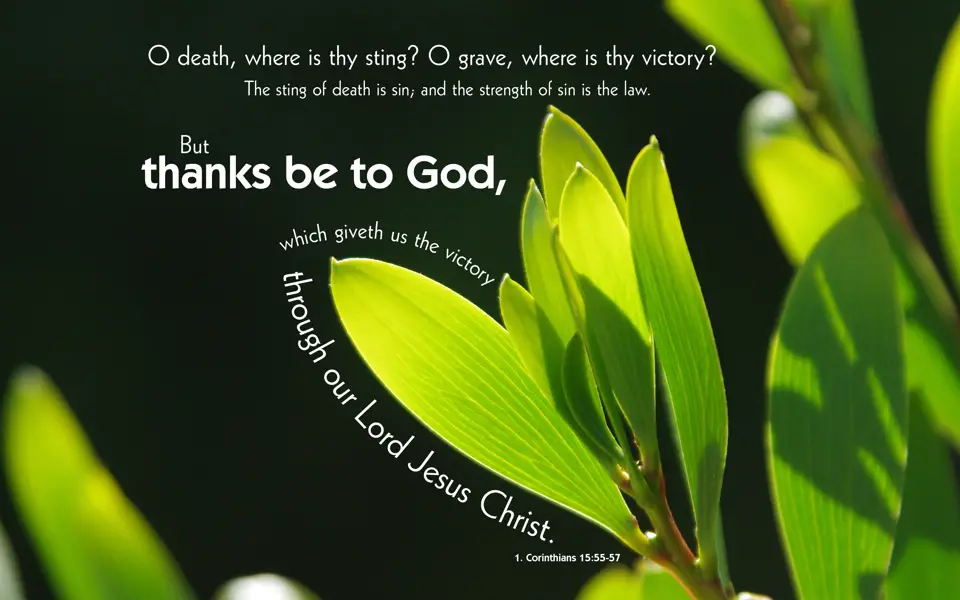 1. Corinthians 15:55, 56, 57 - Free Nature & Bible Desktop Background ...