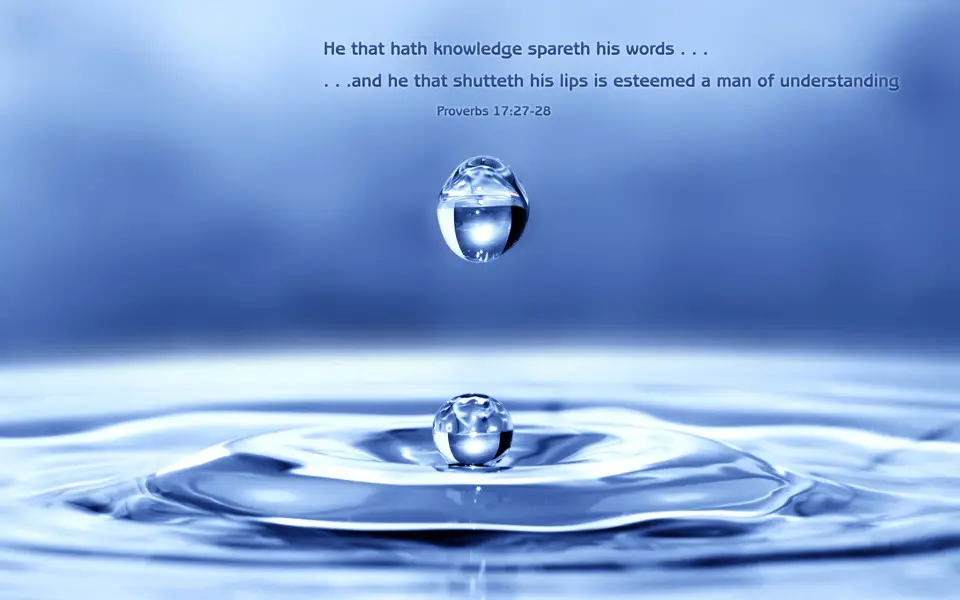 Proverbs 17:27 - Free Nature & Bible Desktop Background / Wallpaper